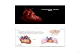 Cardiovascular System: Heartlemastm/Teaching/BI335/Unit 05... · 2013. 2. 20. · Cardiac Electrophysiology Cardiovascular System – Heart Marieb & Hoehn (Human Anatomy and Physiology,