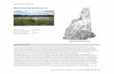 Marsh and Shrub Wetlands...Marsh area (ha) was greatest in the Gulf of Maine Coastal Plain and least abundant in the Vermont Piedmont, White Mountains, and Northern Connecticut River