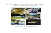 Sacramento Pikeminnow in the South Fork Eel River: Trend ...theava.com/wp-content/uploads/2017/07/ERRP_PM_2017... · The June 29-30, 2017 dive survey of the South Fork Eel River was
