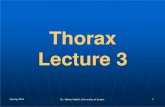 Thorax Lecture 3 - JU Medicine · 2019. 4. 16. · Thorax Lecture 3 Spring 2019 Dr. Maher Hadidi, University of ... Spring 2019. Spring 2019 Dr. Maher Hadidi, University of Jordan