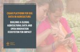 CGIAR PLATFORM FOR BIG DATA IN AGRICULTURE · data in agriculture: building a global agricultural data and open innovation ... power of big data analytics through inspiring and innovative