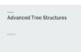 Advanced Tree Structures · 2020. 11. 6. · Modified Binary Search Trees The real world often doesn’t use stock BSTs Many of these covered in detail in CMSC420: Advanced Data Structures