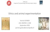 Ethics and animal experimentation · 2020. 9. 9. · Ethics and animal experimentation Yannick GERBER UM, INSERM U 1198 Septembre 2020 yannick.gerber@umontpellier.fr HMBS 341 ...