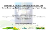 Embrapa´s Animal Genomics Network and Biotechnology for … · 2013. 4. 4. · Embrapa´s Animal Genomics Network and Biotechnology for Economically Important Traits III Research