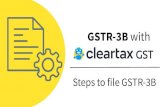 GSTR-3B with ... Now, click on the â€کFile GSTR-3Bâ€™ tab to file your GSTR-3B. The Government Portal