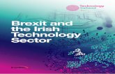Brexit and the Irish Technology Sector · 2019. 4. 16. · Brexit and the Irish 6 Technology Sector Brexit could disrupt the digitally-intensive sectors via a number of mechanisms
