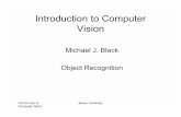 Introduction to Computer Vision - Brown Universitycs.brown.edu/courses/cs143/2009/ObjectRecogPart3.pdf · 2009. 12. 2. · Computer Vision Brown University Parts Learn parts from
