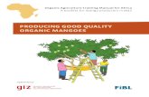 Producing good quality organic mangoes · 2020. 3. 30. · Fresh mangoes for export: Keitt, Kent Dried mangoes: Amélie, Brooks Other improved varieties: Valencia, Bevery Select healthy