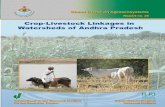 ® ® About ICRISAToar.icrisat.org/2260/1/Crop-livestock_linkages_in...New Delhi 110 012, India Tel +91 11 32472306 to 08 Fax +91 11 25841294 ICRISAT-Nairobi (Regional hub ESA) PO