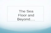 PowerPoint Presentationschools.misd.org/upload/template/5319/Ocean Floor Adaptations.pdf · Title: PowerPoint Presentation Author: Alexandra Created Date: 4/22/2019 9:31:43 AM
