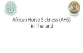 African Horse Sickness (AHS) Situation in Thailand · African Horse Sickness (AHS) in Thailand. Cumulative number of AHS cases/dead in Thailand by provinces Start AHS control measure