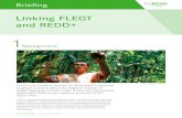 Linking FLEGT and REDD+...2015/06/19  · for better law enforcement and improved forest management, for example, by enhancing legal frameworks and establishing clear and equitable