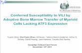 Conferred Susceptibility to VILI by Adoptive Bone Marrow ......LPS WT mice reconstituted with ATF3 KO bone marrow show increased neutrophil infiltration after VILI (b) Total Neutrophil