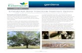 Emerald Ash Borer Insecticide Treatment OptionsEmerald ash borer impact: Ash trees are popular trees in city and town in South Dakota. They are fast-growing trees that tolerant poor