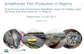 A technical and economical feasibility study for tilapia ......PowerPoint-presentatie Author: Martin Brinkman Created Date: 7/22/2013 2:39:48 PM ...