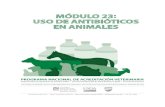 Use of Antibiotics in Animals · Web viewLos microbios (bacteria, virus, hongos o parásitos) son microorganismos vivos que se adaptan a su medioambiente y cambian para asegurar su