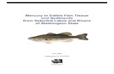 Mercury in Edible Fish Tissue and Sediments from Selected ... · mercury, and to minimize human exposure to mercury (Peele 2003). This project follows two earlier studies in Washington