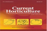 Current Horticulturecurrenthorticulture.com/download/Current Hort Vol 4 (1... · 2020. 3. 23. · Current Horticulture 4(1): 3–9, January–June 2016 Effect of intercroping geometry