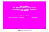 EQUINE EMERGENCIES: EYE INJURIES AND YOUR HORSE · 2018. 8. 24. · EQUINE EMERGENCIES: EYE INJURIES AND YOUR HORSE YOU WILL LEARN Why horses are prone to eye injuries How to recognise