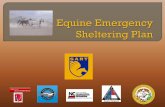 Partners that have joined efforts to plan and prepare for Equine Emergencies · 2012. 6. 18. · Partners that have joined efforts to plan and prepare for Equine Emergencies •NC