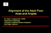 Alignment of the Adult Foot: Axes and Angles alignment adult bonepit.pdfHindfoot Malalignment: Valgus Hindfoot valgus on MRI 25F • Hindfoot malalignment is caused by abnormal position