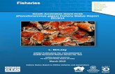 South Australian Giant Crab Pseudocarcinus gigas) Fishery Status Report 2013… · 2015. 4. 16. · Crab as a by-product (RL by-product). In this report, reference to the fishing