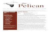 Pelican thedocshare01.docshare.tips/files/3642/36420789.pdf · Pelican the Lahontan Audubon Society • P.O. Box 2304 • Reno, Nevada 89505 • • 775-324-BIRD Mission statement: