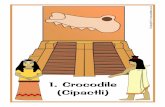 1. Crocodile (Cipactli) · (Cuauhtli) k 16. Vulture (Coscaqyuauhtli) k 17. Motion (Ollin) k 18. Flint knife (Tecpatl) k 19. Rain (Quiahuitl) k 20. Flower (Xochitl) 2 hecat . 4 Lizard