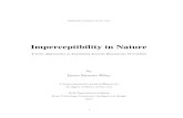 Imperceptibility in Nature - MTIID CalArts · 2017. 11. 21. · Herb Alpert School of Music Music Technology: Interaction, Intelligence & Design 2015 . iii Supervisory Committee .