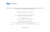 Recycling of the culture media for pilot scale production of Arthrospira platensis ... · Recycling of the culture media for pilot scale production of Arthrospira platensis (Spirulina)