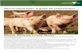 African swine fever. A guide for · Web viewAfrican swine fever. A guide for veterinarians.About African swine fever If you suspect African swine fever in pigs, you MUST report it