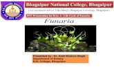 Bhagalpur National College, Bhagalpurbncollegebgp.ac.in/.../PPT...Life-Cycle-of-Funaria.pdf · PPT Presentation for B.Sc. I- Life Cycle of Funaria Presented by - Dr. Amit Kishore
