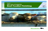 COP Beef Feedlot Finishing 650-1400costs of production of a beef cattle feedlot finishing enterprise in Manitoba. General Manitoba Agriculture recommendations are assumed in using