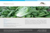 South Pacific Seeds Sales - Nemospssales.com.au/assets/uploads/2017/05/Nemo.pdf · NEMO is a slow-bolting, smooth-leaved 3/4 Cos lettuce for processing or fresh market. NEMO produces