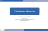 TCAD and recent defect studies · 2019. 11. 4. · ^Measurements and TCAD simulations of Bulk and Surface Radiation Damage Effects in Silicon Detectors _, F.Moscatelli et al., 2015