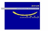 ANNUAL REPORT - SMYL Community Collegesmylcollege.wa.edu.au/wp-content/uploads/2019/08/Annual-Report-2… · ANNUAL REPORT ©2019 SMYL ommunity ollege. The Governing ouncil has had