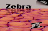 Zebra Skimmers Clean Coolant • Volume 16...oil removal and pose possible sump overfl ow. pH: pH, as it applies to coolant, is the level of acid in it. Coolant is designed to work