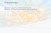 Basics & Fundamentals - Gas Chromatography · 2020. 7. 14. · Basics & Fundamentals: Gas Chromatography. Introduction . Gas chromatography (GC) is an analytical methodology, which