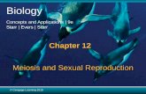 Chapter 5 Gases - Riverside City Collegewebsites.rcc.edu/mcdonald/files/2017/02/Bio1-Ch12-stu.pdf · 2017. 3. 20. · © Cengage Learning 2015 12.1 Why Sex? •In asexual reproduction,