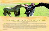 u Colorful u - American Morgan Horse Association · 2020. 11. 16. · Amberfields Lonesome Dove (grulla mare); Judy Hinman riding Sunup Sunflash (palomino mare); Judy’s daughter,