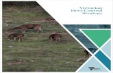 Victorian Deer Control Strategy - Environment...Appendix C Reduction in biodiversity of native vegetation by Sambar Deer 34 Appendix D Diseases that could be carried by wild deer 35