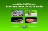 DEC Prohibited and Regulated Invasive Animals · African Clawed Frog Xenopus laevis 15 Asian Raccoon Dog Nyctereutes procyonoides 14 Egyptian Goose Alopochen aegyptiacus 15 Eurasian