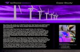 Wind Turbine Slip Ring Repair - SIFCO ASC · 2020. 9. 15. · Wind Turbine Slip Ring Repair Case Study The three slip rings on a 480 Volt, 28 Amp Westinghouse WWG-0600 Wind Turbine