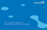 Annual Report and Accounts 2019 - Home | Calisen · Financial Statements 097 Independent Auditors’ report 102 Consolidated financial statements 147 Alternative performance measures