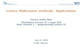 Lattice Boltzmann methods: Applications - TUM · 2019. 7. 22. · Lattice Boltzmann methods: Applications Porous media ow Dissolution process of a sugar ball Heat transfer (!programming