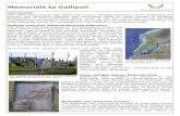 Memorials to GallipoliIntroduction This sheet accompanies War Memorials Trust’s ‘Gallipoli centenary 2015’ helpsheets for primary and secondary teachers and information sheet