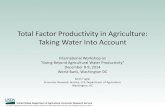 Total Factor Productivity in Agriculture: Taking Water ... · Total Factor Productivity (TFP) growth O ut “Growth accounting” decomposes growth due to total input use and total