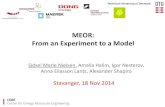 MEOR: From an Experiment to a Model · 2019. 8. 19. · MEOR: From an Experiment to a Model Sidsel Marie Nielsen, Amalia Halim, Igor Nesterov, Anna Eliasson Lantz, Alexander Shapiro