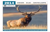 2014 DEER ELK ANTELOPE - MonsterMuleys.comhuntodds.monstermuleys.com/montana/2014_hunting_regs.pdf · 2014. 3. 6. · 2014 Deer • Elk • Antelope Visit fwp.mt.gov 11 Season Dates