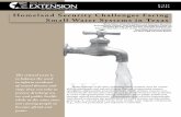 Homeland Security Challenges Facing Small Water Systems in … articles/Dozier McIntyre... · 2009. 10. 29. · contamination threats and incidents. Each water system should develop